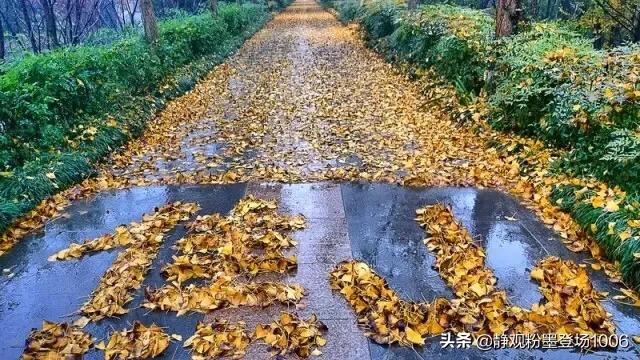 百闻_百闻不如一见下一句是什么意思