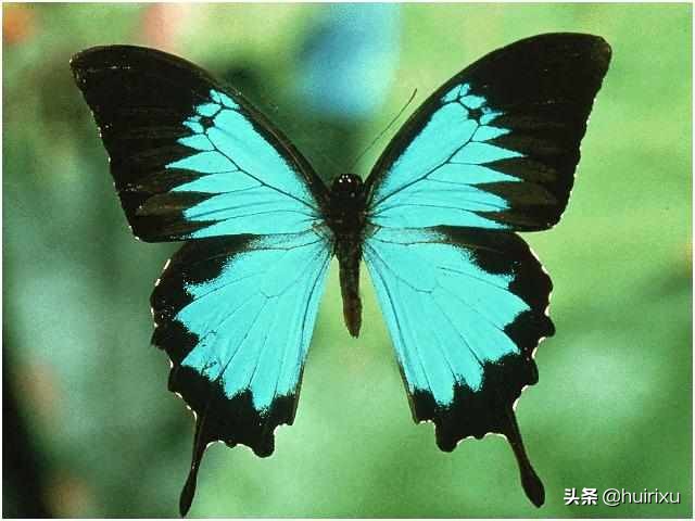 在哪呢_在哪呢英语怎么说