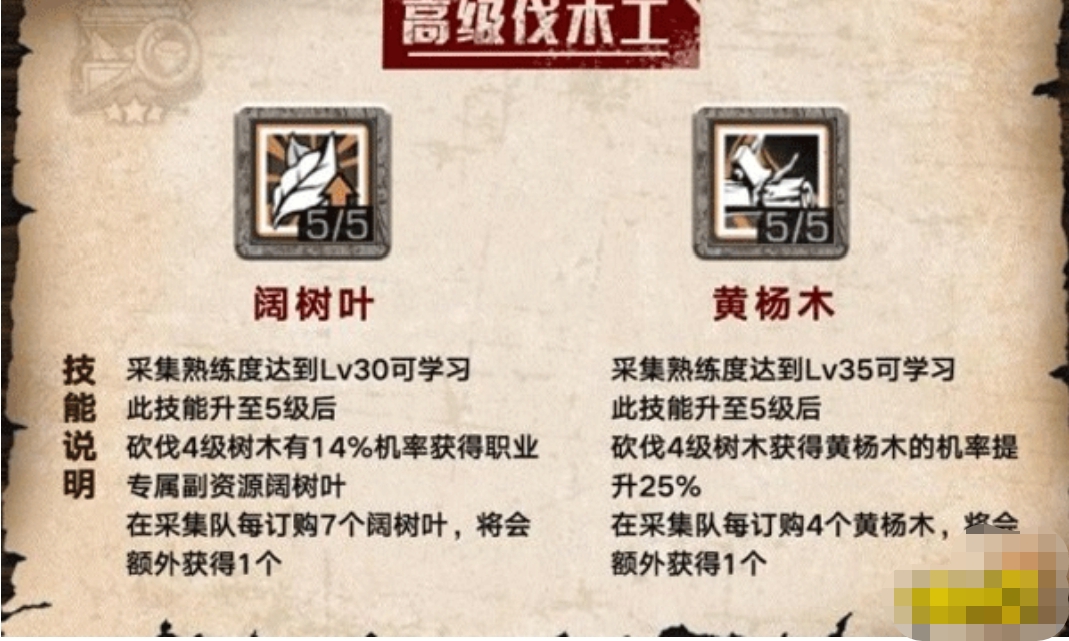天赋加点_80WLK惩戒骑天赋加点