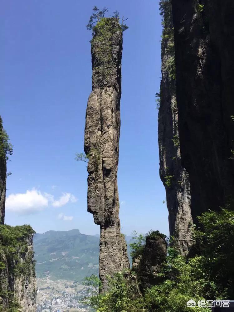51足球_51足球宝贝喵小吉