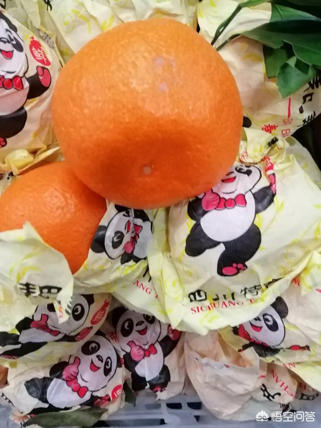 不知火是什么水果_不知火是什么水果的学名?