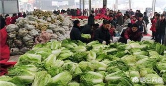 不知火是什么水果_不知火是什么水果的学名?