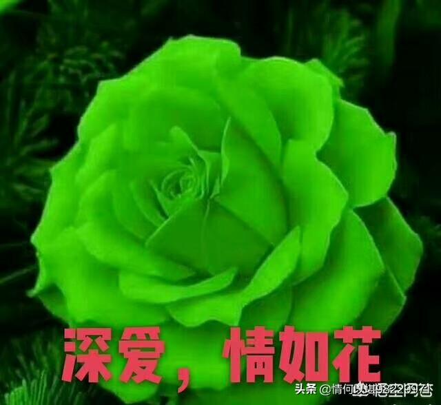 爱我一下_爱我一下夏