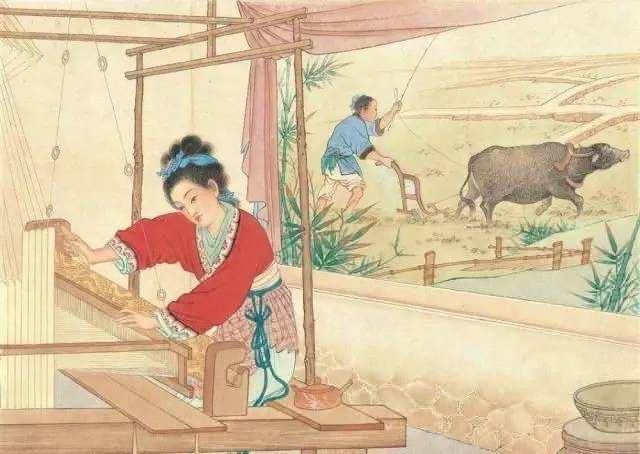 七月流火的火指的是什么_七月流火的火指的是什么意思