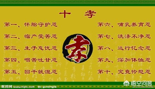 世界上最无所畏惧的动物_世界上最无所畏惧的动物排行