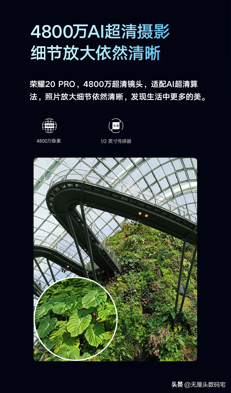 给个手机上能看的2020_给个手机上能看的2020直接进