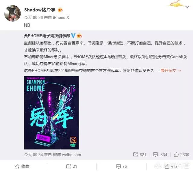 dota2 wings_dota2wings战队成员