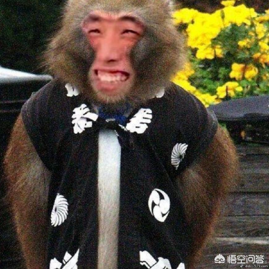 dnfpk挂_dnfpk挂在哪买