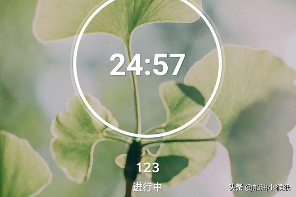 番茄ToDo_番茄todo干什么用的