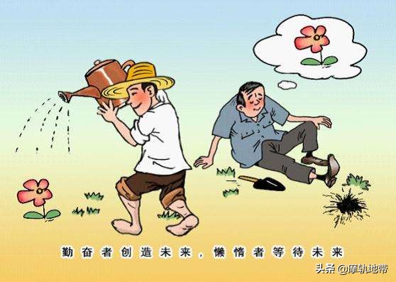 网红视频_网红视频qq聊天记录