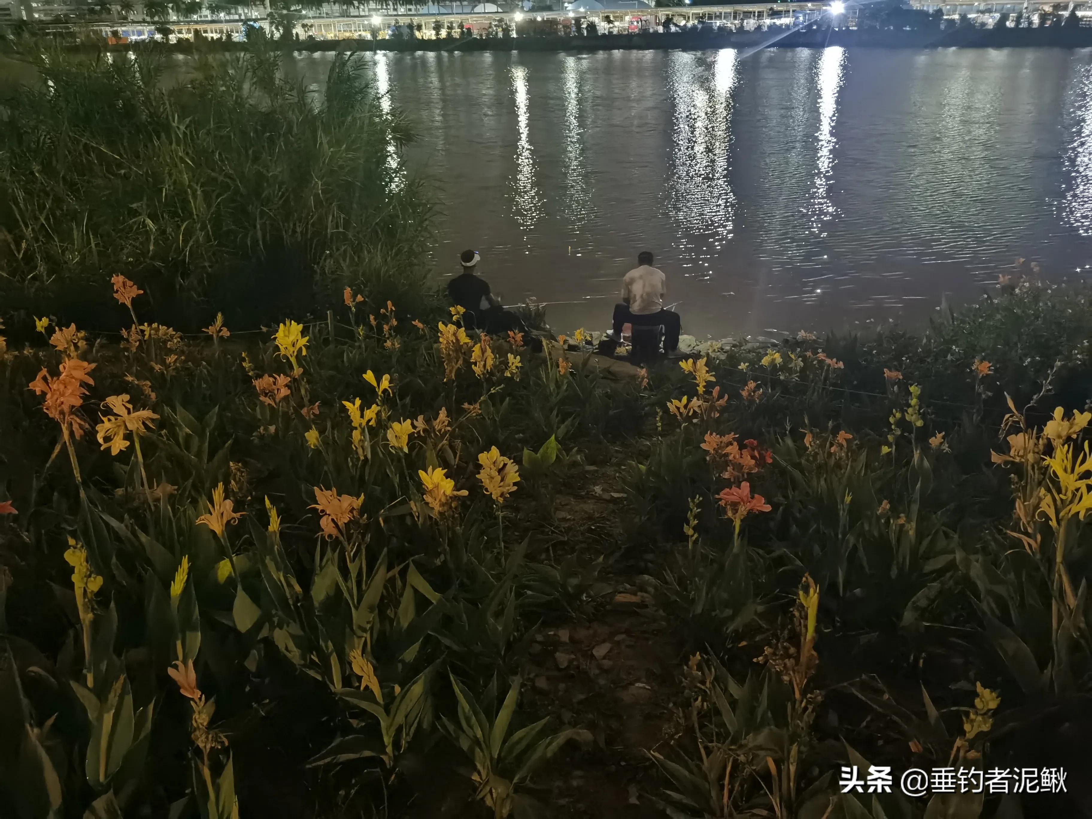 网红视频_网红视频qq聊天记录
