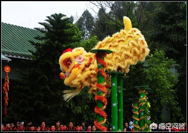 黑狮子_黑狮子的寓意及象征