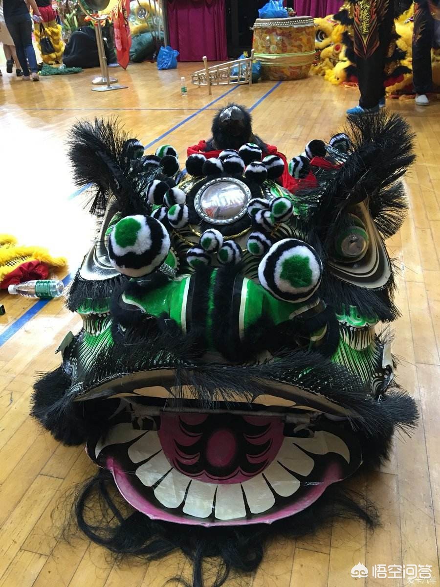 黑狮子_黑狮子的寓意及象征