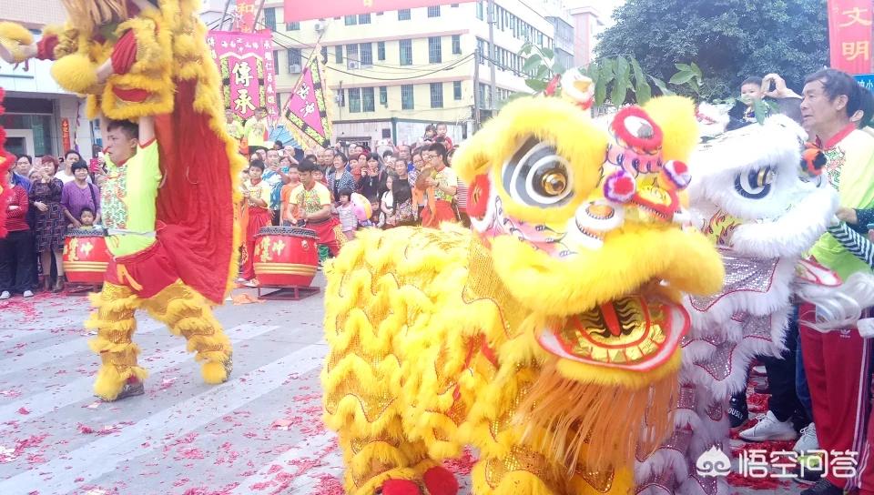黑狮子_黑狮子的寓意及象征