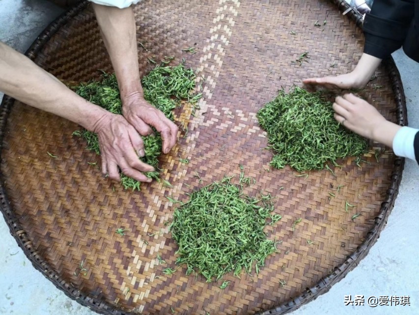 绿茶视频_