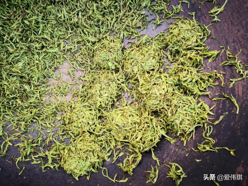 绿茶视频_