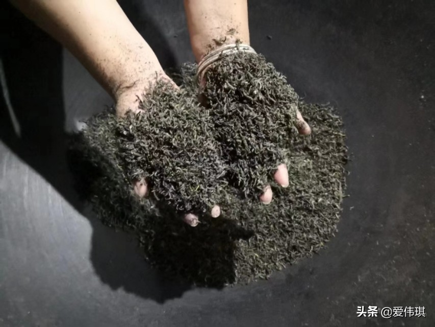 绿茶视频_