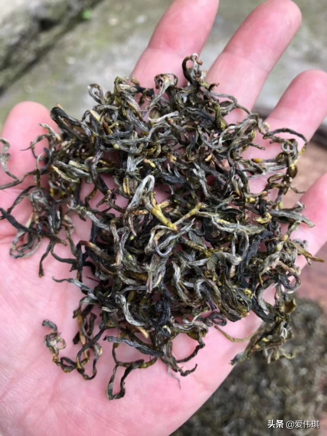 绿茶视频_