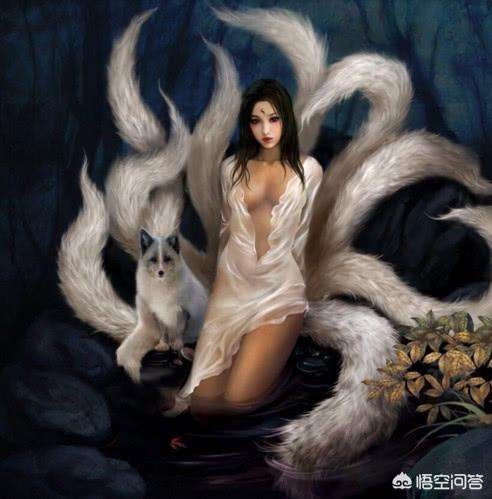 妖狐_妖狐×仆SS