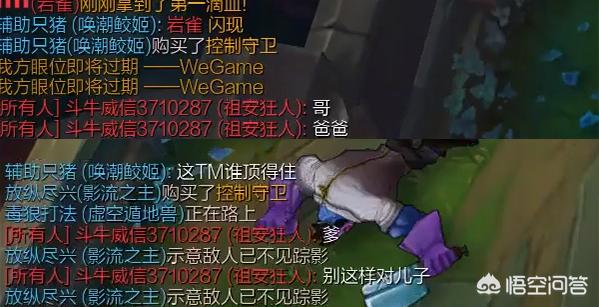 石头人_石头人战队