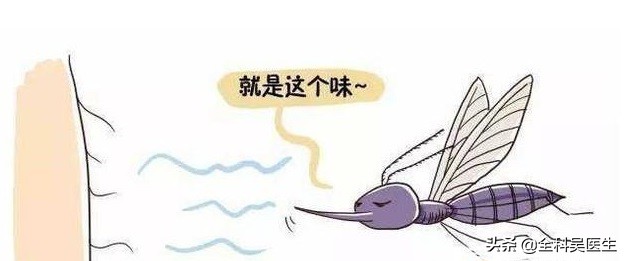 蚊子叮人偏爱血型_蚊子叮咬血型的人