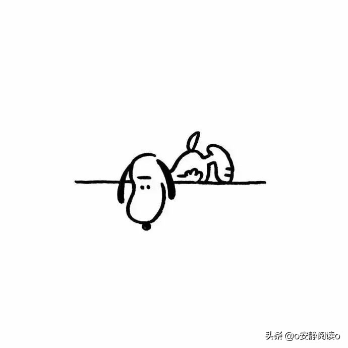 真人一对一视频APP_真人一对一视频聊天免费