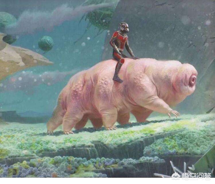 哪种生物生命力更强_哪种生物生命力更强大
