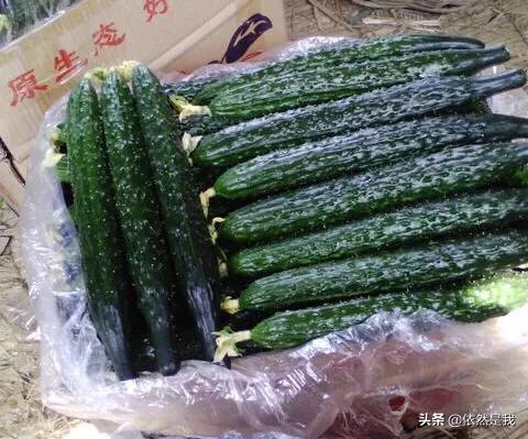 黄瓜影视_桃花影院电视剧在线播放