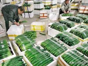 黄瓜影视_桃花影院电视剧在线播放