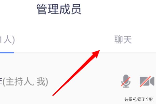 腾讯会议私聊主持人能看到吗_腾讯会议私聊主持人能看到吗怎么设置