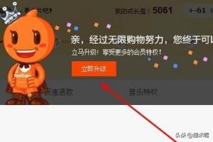 vip俱乐部_贺兰信鸽协会vip俱乐部