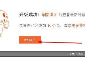 vip俱乐部_贺兰信鸽协会vip俱乐部