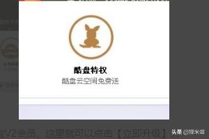 vip俱乐部_贺兰信鸽协会vip俱乐部