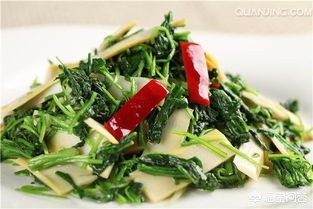 野山椒直播_野山椒直播app
