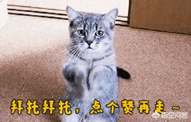 比dota重要_dota2比dota1多的英雄