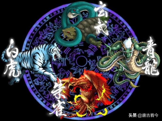 天天酷跑唐白虎_天天酷跑唐白虎什么时候出的