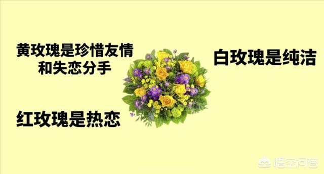 情人节专用图片_情人节专用图片动态