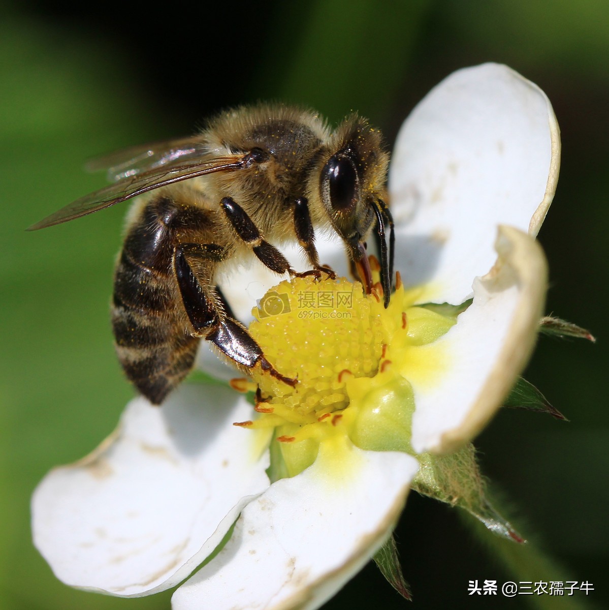 小蜜源_小蜜源电影