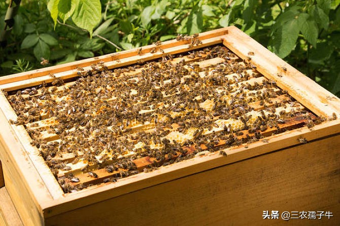 小蜜源_小蜜源电影