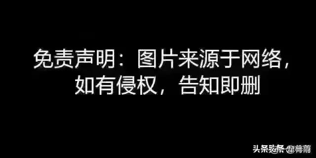 3.19事件_319历史事件