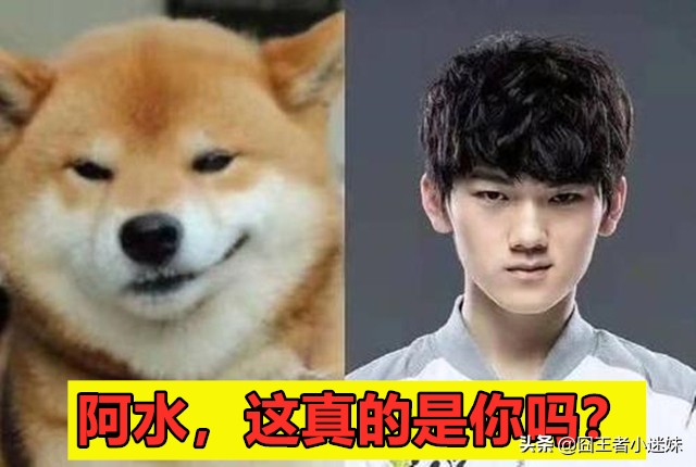 英雄联盟cg动画_英雄联盟cg动画全集 官方