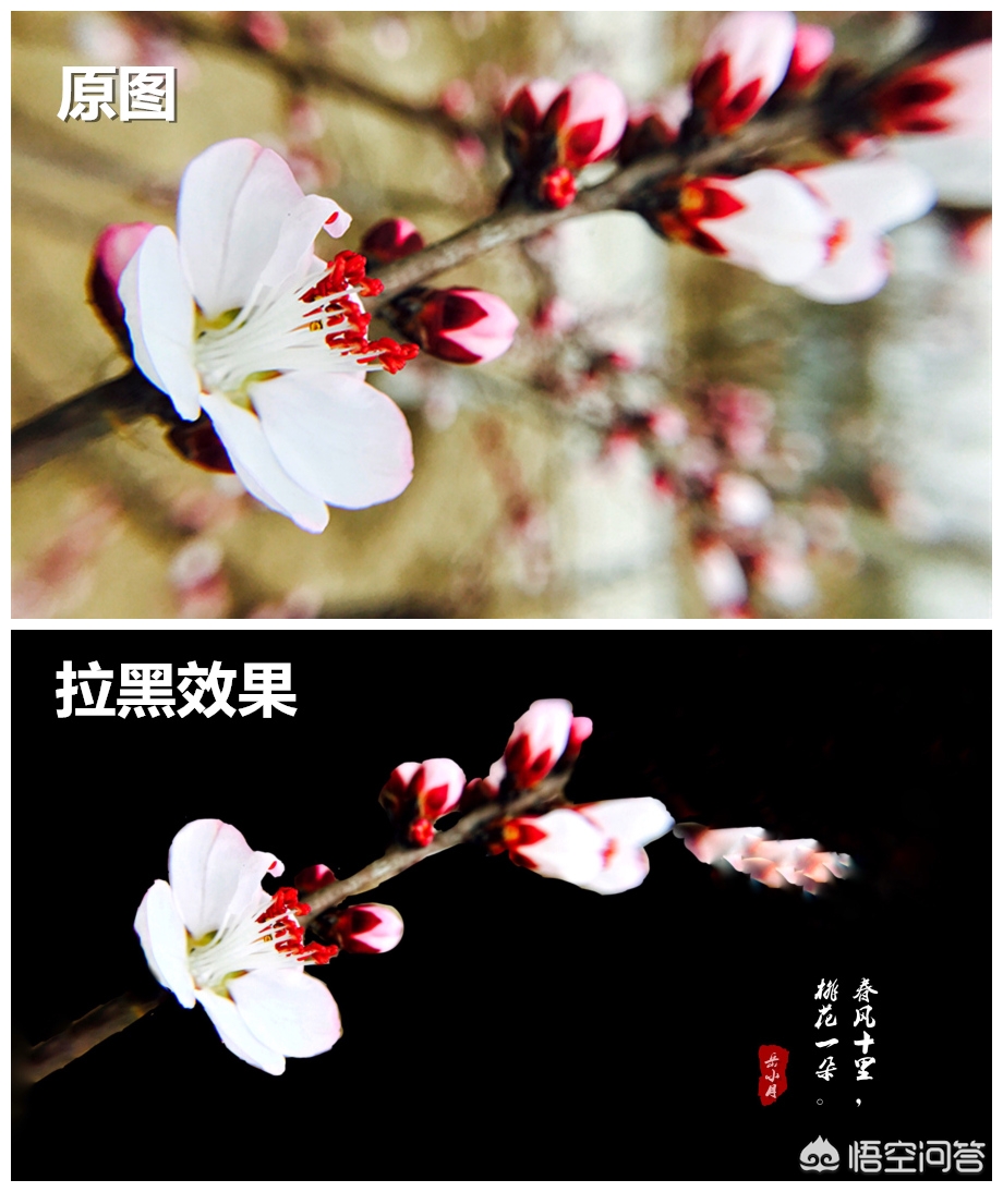 手机p图工具_手机P图工具