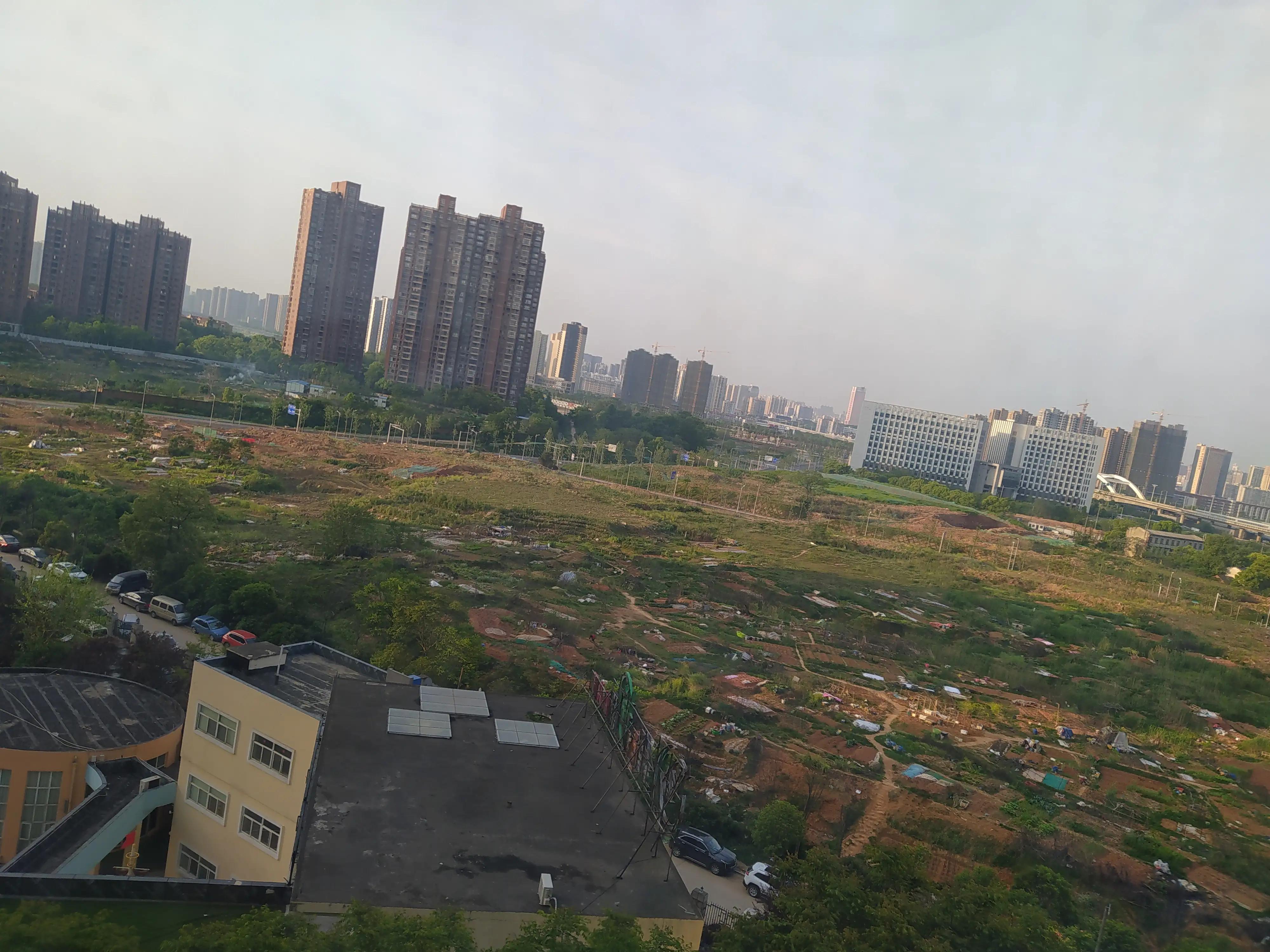 天下家园_天下家园是什么生肖