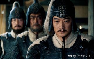 三国志双人版_三国志双人版下载安装