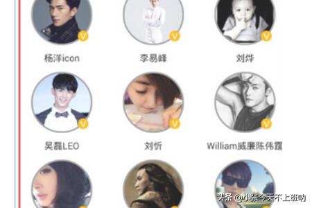 超级星饭团_超级星饭团app下载
