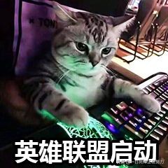lol游戏人生_lol游戏人生查询系统