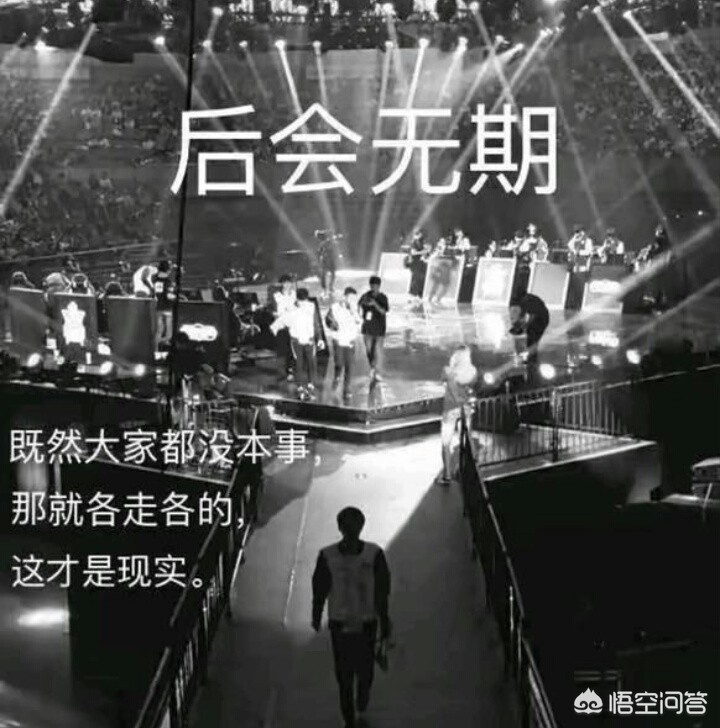 lol omg战队_lolomg战队成员