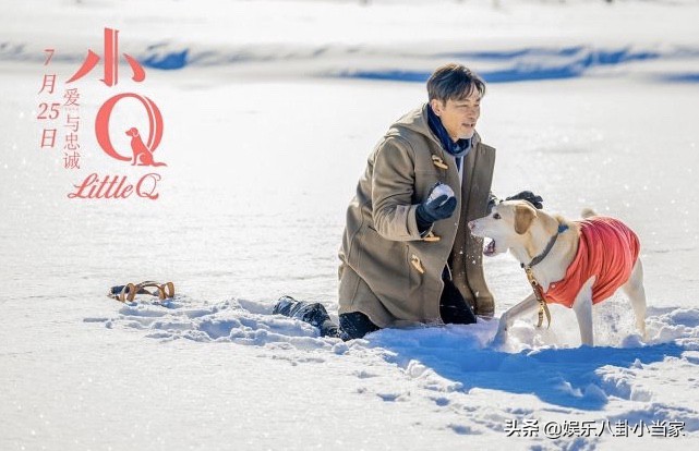 小Q影视_小q影视官网