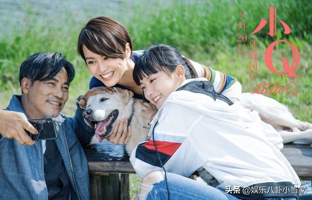小Q影视_小q影视官网