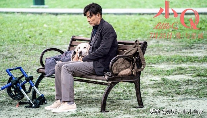 小Q影视_小q影视官网